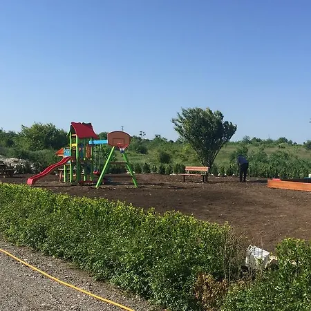 калитея комплекс